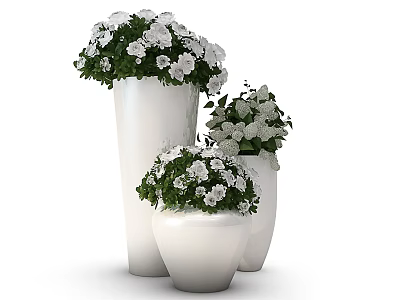 Bonsai Potted Plants In White Pots With Green Leaves And White Flowers 3d model
