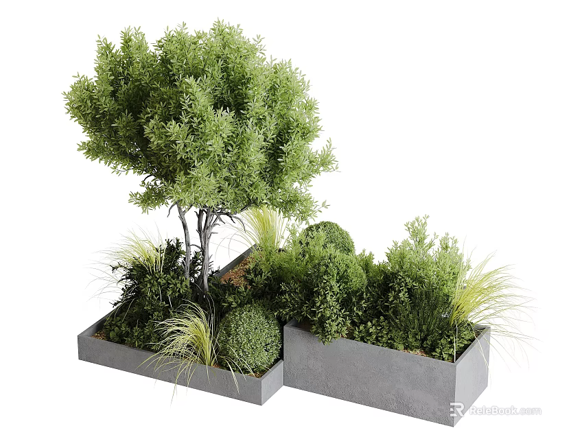 Modern Garden Landscape Design With Concrete Planter Boxes And Assorted Lush Ornamental Green Plants 3d model 