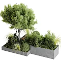 Modern Garden Landscape Design With Concrete Planter Boxes And Assorted Lush Ornamental Green Plants