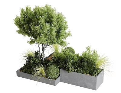 Modern Garden Landscape Design With Concrete Planter Boxes And Assorted Lush Ornamental Green Plants 3d model