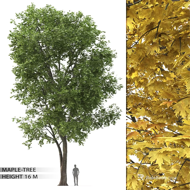 Decorative Ornament Combination with Green Tree and Yellow Maple Leaves for Home Decor 3d model 