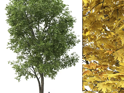 Decorative Ornament Combination with Green Tree and Yellow Maple Leaves for Home Decor 3d model