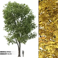 Decorative Ornament Combination with Green Tree and Yellow Maple Leaves for Home Decor