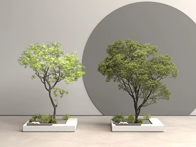 Two Decorative Trees Planted in White Square Planters Against Grey Wall with Circular Decor 3d model
