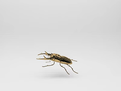 Stylish Decorative Ornament Set Featuring Golden Beetle on White Background 3d model