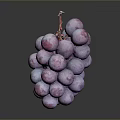Fresh Juicy Purple Grapes with Water Drops on Dark Background