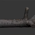 Natural Wooden Log with Branched Structure and Textured Surface for Decorative Use