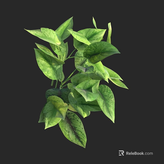 Healthy Lush Green Variegated Houseplant With Vibrant Leaves For Indoor Decor 3d model 