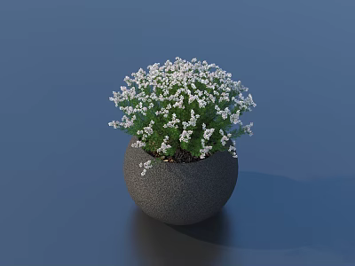 Bonsai Potted Plant With Gray Round Pot And White Small Flowers On Dark Blue Background 3d model