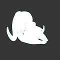 Realistic Detailed Ram Skull With Large Curved Horns On Dark Background