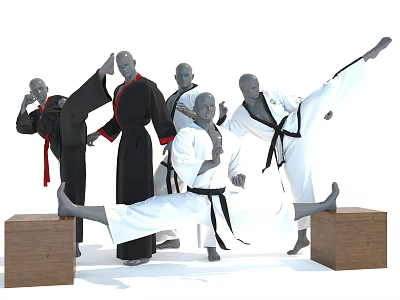 Different Colored Hats Worn By Taekwondo Mannequins In Kicking Poses On Wooden Blocks 3d model