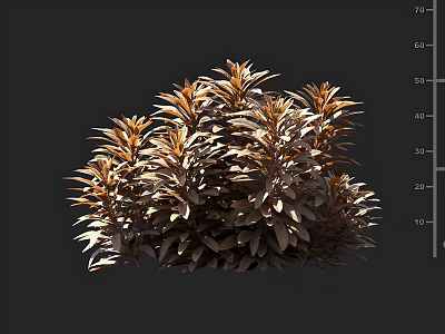 Lush Bushy Shrub with Bronze and Orange Foliage Dense Rounded Shape 3d model