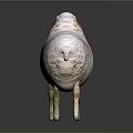 White Sheep With Fluffy Wool Standing On Simple Gray Background 3d model