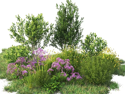 Lush Garden Shrubs With Purple Flowers And Green Foliage In Natural Landscape 3d model