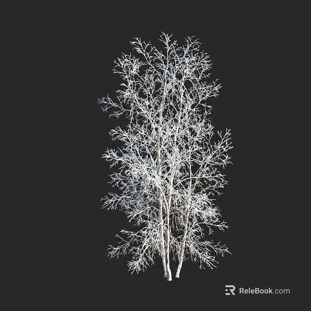 Tall Leafless Arbor With White Trunk And Bare Branches On Black Background 3d model 