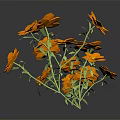 Vibrant Orange Flowers With Green Stems And Leaves Against Black Background And Reflection