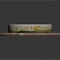 Circular Water Fountain with Green Water Surface Mossy Stone Edge and Stone Slab Base