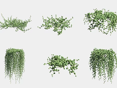 Green Hanging Vine Plants With Clustered Leaves In Various Decorative Styles 3d model