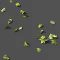 Tree Pit With Floating Green And Yellow Leaves On Calm Water Surface