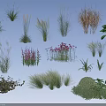 Various Types Of Ornamental Shrubs With Colorful Flowers And Lush Foliage For Garden Landscaping