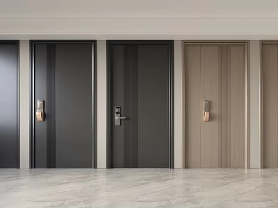 Modern Security Doors With Various Black And Wooden Designs And Secure Lock Features 3d model