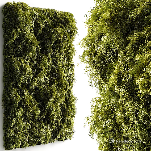 Living Green Plant Wall With Lush Foliage And Natural Vertical Garden Design 3d model 