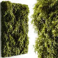 Living Green Plant Wall With Lush Foliage And Natural Vertical Garden Design