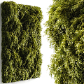 Modern Plant Wall Green Plant Wall Outdoor Green Plant Wall Vine Plant Wall 3d model