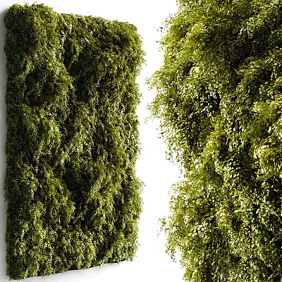 Living Green Plant Wall With Lush Foliage And Natural Vertical Garden Design 3d model