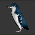 Standing Blue And White Reptile With Pink Feet And Detailed Body Texture
