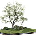 Lush Green Arbor in Circular Lawn with Surrounding Bushes and Grass