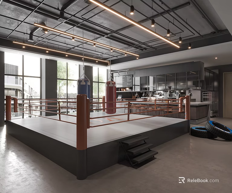 Modern Fitness Training Gym With Boxing Ring Tires Open Space And Bright Window Lighting 3d model 
