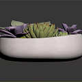 Succulent Plants in White Bowl with Purple Flowers Green Leaves and Lush Moss