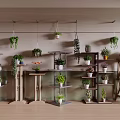 Stylish Garden Plant Displays With Hanging Plants Multi Tiered Shelves And Various Potted Plants