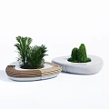 Modern Outdoor Chairs With Circular Design Wooden And White Frames Featuring Potted Plants
