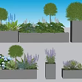 Modern Planter Display With Topiary Trees Purple Flowers Green Herbs And Succulents