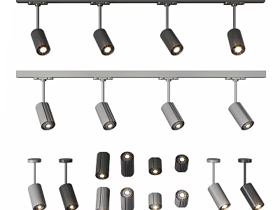 Various Styles Of Downlights And Spotlights With Black Silver Finishes And Track Mounting 3d model