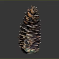 Vibrant Layered Pinecone With Orange And Purple Scales On Dark Background