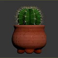 Green Cactus Plant With Yellow Spines In Red Spotted Three Legged Pot