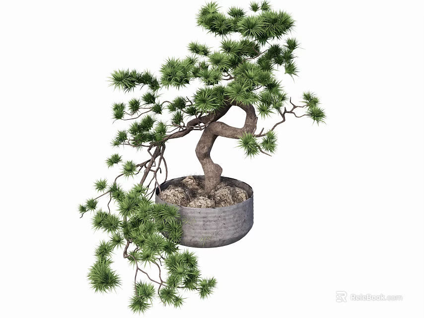 Lush Green Bonsai Plant with Twisted Trunk and Dense Foliage in Gray Pot 3d model 