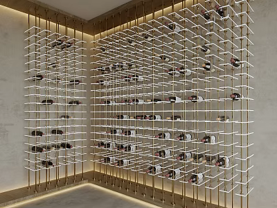 Modern Entryway Hallway Featuring Metal Frame Shoe Rack With Neatly Arranged Shoes And Warm Lighting 3d model