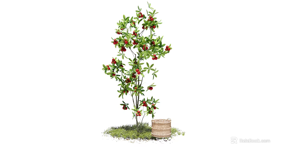 Lush Arbor With Red Fruits Green Leaves And Wooden Barrel On Grass 3d model 