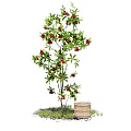 Lush Arbor With Red Fruits Green Leaves And Wooden Barrel On Grass