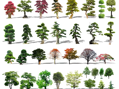 Various Arbor Trees With Different Growth Shapes And Vibrant Foliage For Landscape Design 3d model