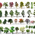 Modern banyan tree landscape tree 3d model