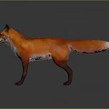 3D Modeled Orange Fox Game Movie Character With White Chest Standing On Gray Background