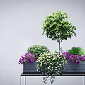 Potted Plants In Rectangular Planter On Black Stand With Green Shrubs Purple And White Flowers