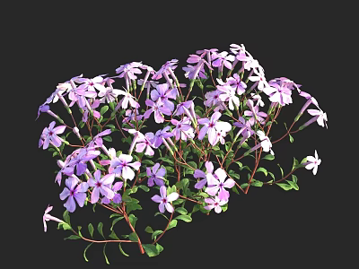 Vibrant Purple and White Flowers with Green Leaves in Full Bloom Cluster 3d model