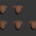 Multiple Male Head Models With Bald Heads And Diverse Facial Features