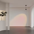 Minimalist Interior Design With Curved Walls Hanging Plant And Soft Light Projection